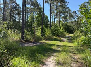 1 Juniper Bay Rd Tract 1, Conway, SC 29527