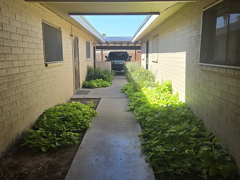 1235 W University Dr — Photo 5