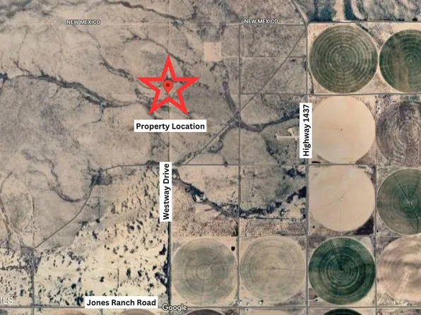 W Way Dr, Dell City, TX 79837