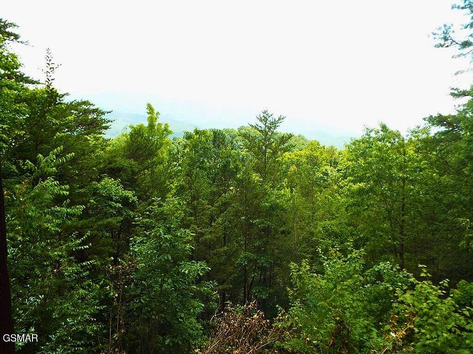 2nd image of 64 Vixen Run Lot 64