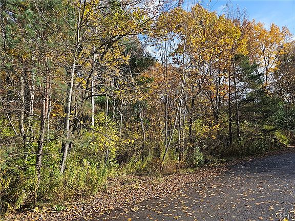 4th image of Birch Ln