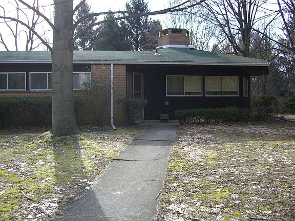entrance with tulip tree, March 08