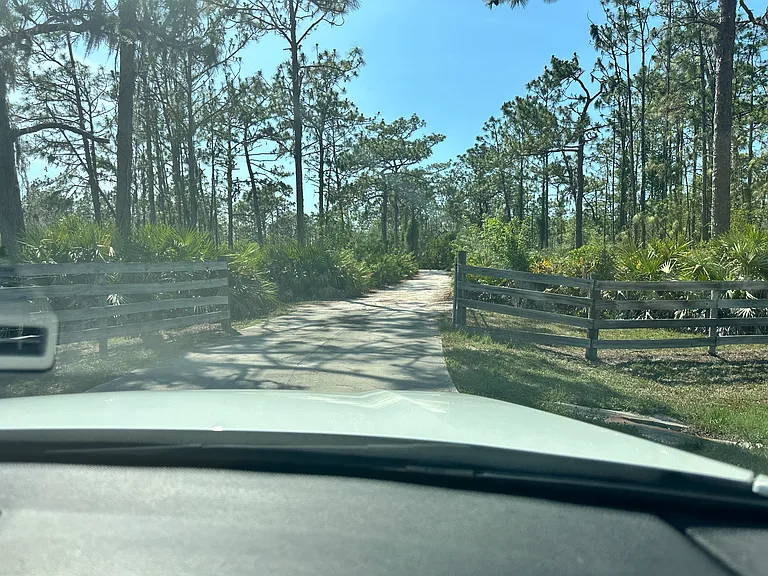 Entry to driveway