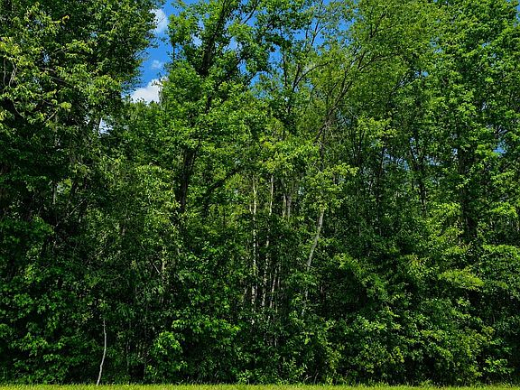 4th image of 0 SE County Road 25a