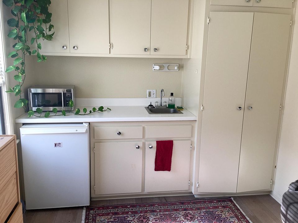 Essential kitchen. Small fridge, sink and microwave.