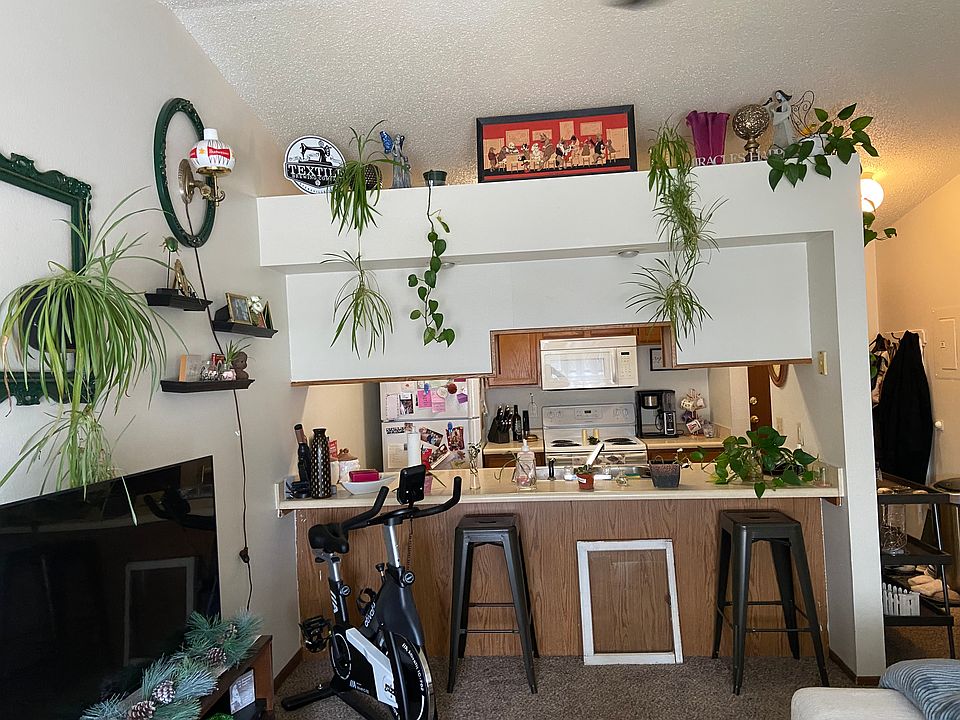 Kitchen and dining counter