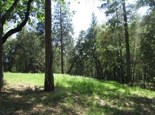 12501 Arrowhead Rd, Pine Grove, CA 95665