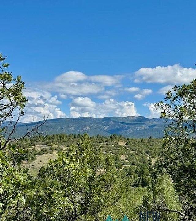 2nd image of 2 Tract C Cres #485