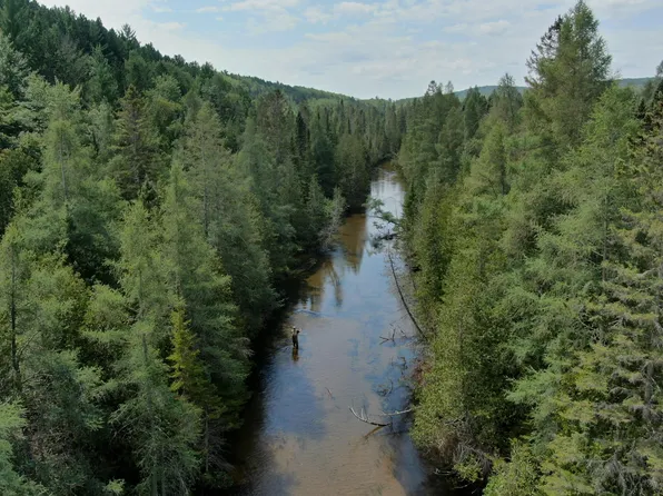 7728 Cabin Valley Ln, Vanderbilt, MI 49795