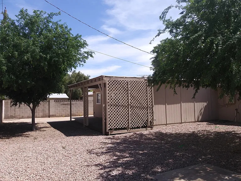 Back Yard