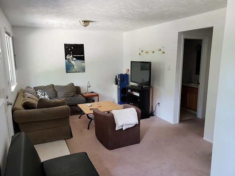 Downstairs Living Room