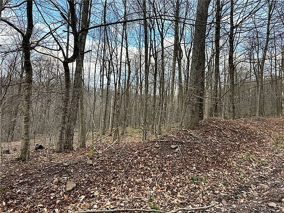 4th image of Madigan Ln Lot 51