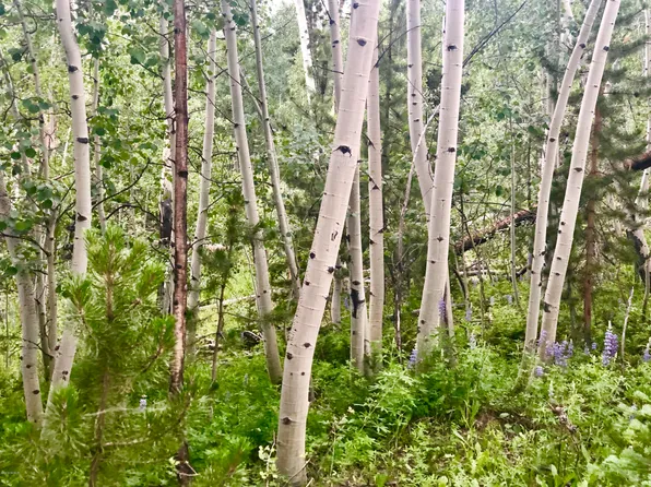 557 Hill Rd, Kremmling, CO 80459