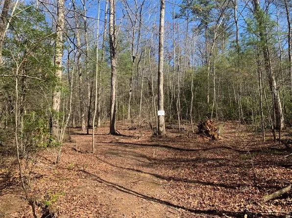 0 E New Hope Rd Tract 2, Ellijay, GA 30536
