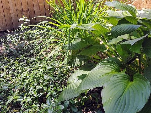 beautiful border gardens.