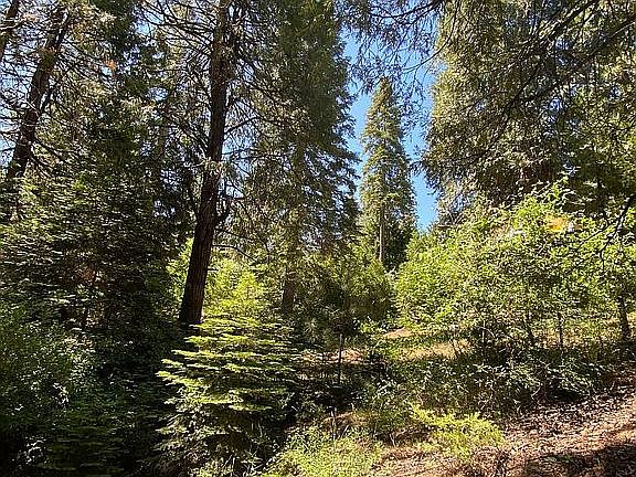 3rd image of Cold Springs Ln Lot 22