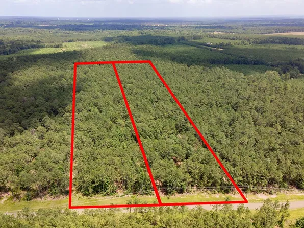 29 & Lot 30, Broaddus, TX 75929