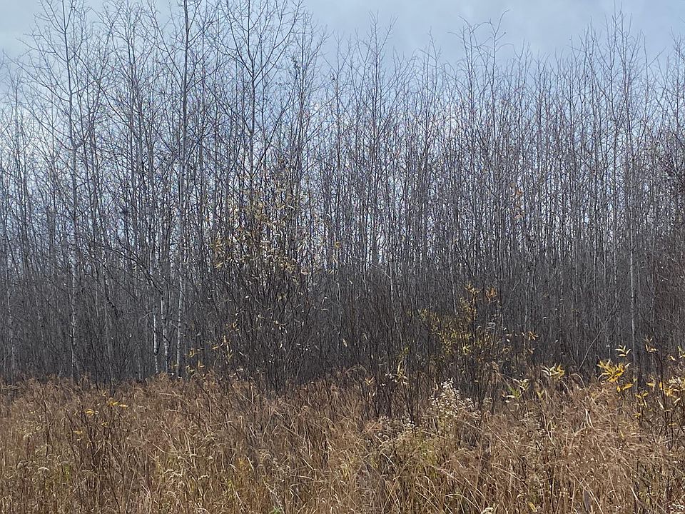 Near Timber Rd, Catawba, WI 54515 MLS 199519 Zillow