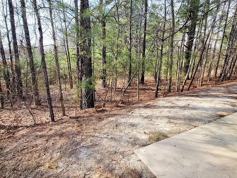 3944 Volkswalk Pl — Photo 45