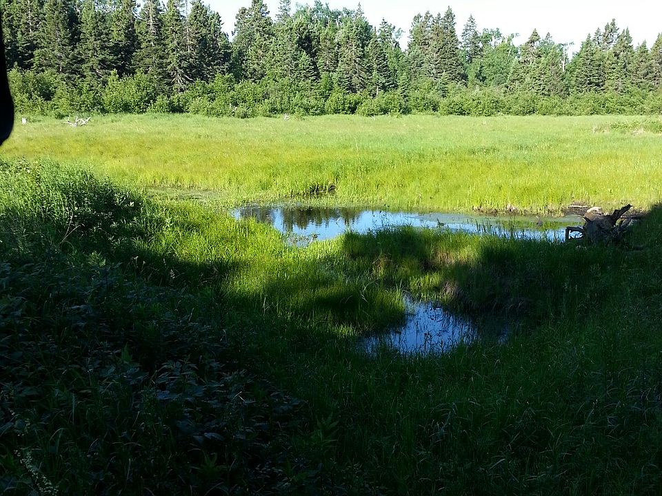 1st image of Xxx Black Woods Dr