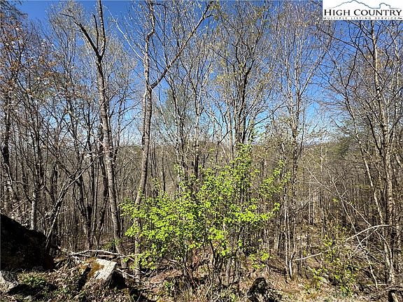 2nd image of 137, 139, 141, and 143 W Blueberry Lane