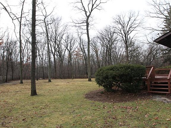 Backyard View 2