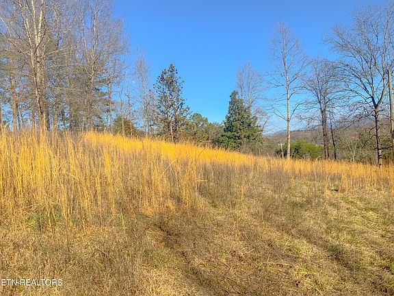 5th image of 675 Reagan Valley Rd