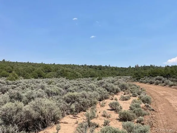 Lot 12 Bull Elk Trail, San Luis, CO 81152