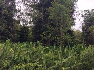 Road 4 LOT 226, Volcano, HI 96785