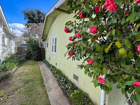 Side yard.