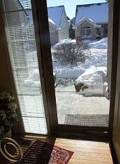 3rd image of 5576 Ashby Ct #1