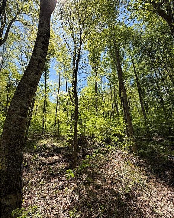1st image of LOT 28 Bluff Ridge Rd #28