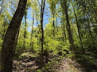 LOT 28 Bluff Ridge Rd #28, West Jefferson, NC 28694