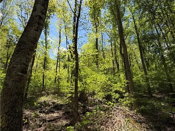 LOT 28 Bluff Ridge Rd #28, West Jefferson, NC 28694