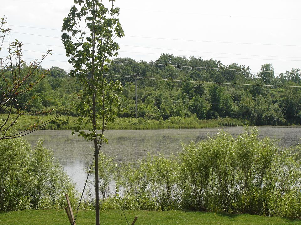 Backyard view