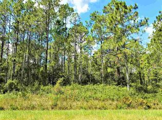 10685 Carpenter Ave, Hastings, FL 32145