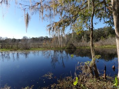 10424 E Gobbler Dr, Floral City, FL, 34436