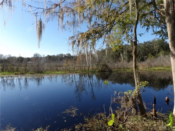 10424 E Gobbler Dr, Floral City, FL 34436