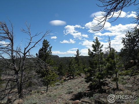1st image of 137 Piaute Ct