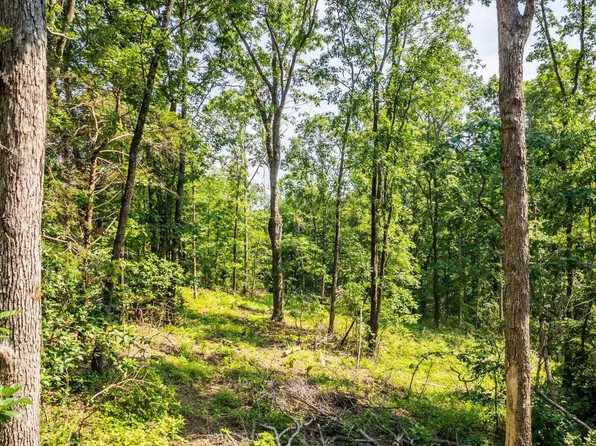 Harmony Mountain Rd, Clinton, AR 72031