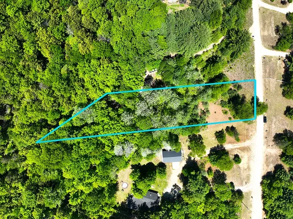 LOT N Apple Dr, White Cloud, MI 49349