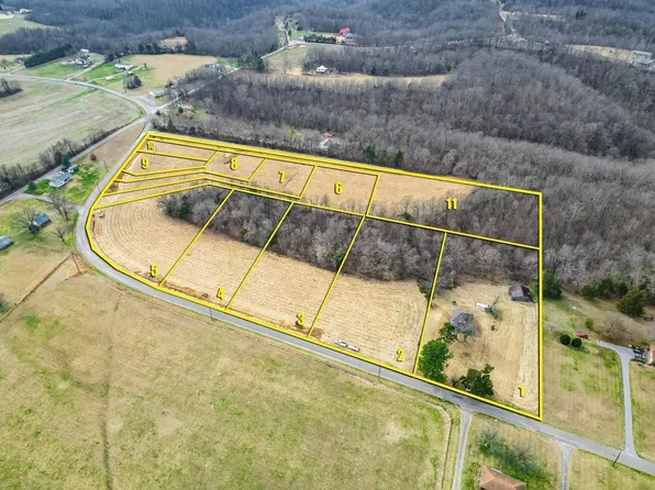 3608 Hollow Springs Rd Lot 9, Bradyville, TN 37026