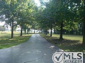 Tree-lined Paved Driveway
