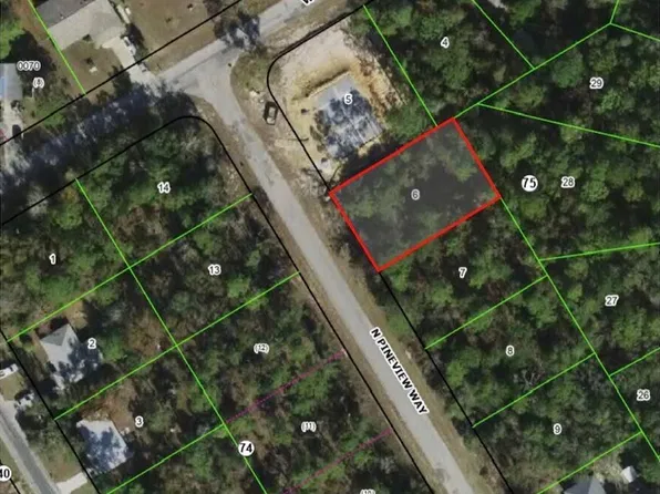 9629 N Pineview Way, Citrus Springs, FL 34434