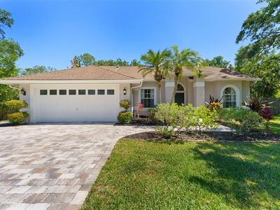 12503 Bronco Dr, Tampa, FL, 33626