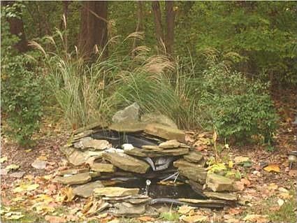 5th image of 10601 Wilmington Dr