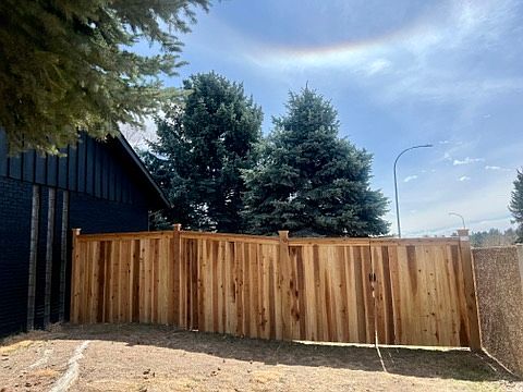 Backyard privacy fence.