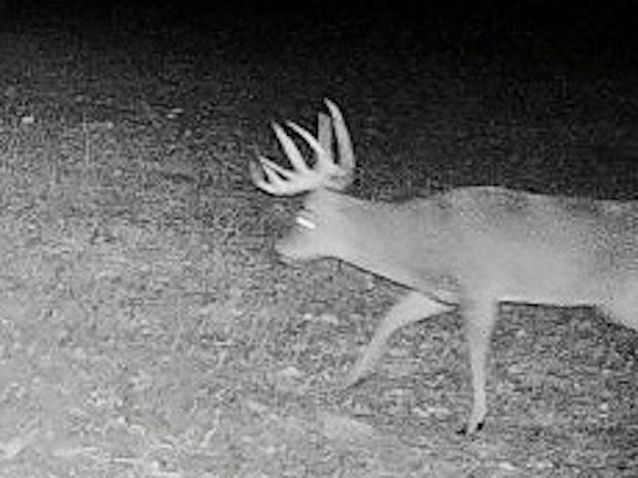 2nd image of Hammond Rd Lot Wp001