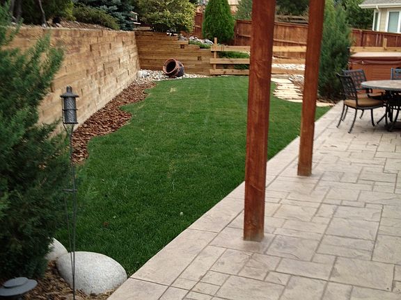 Back Yard