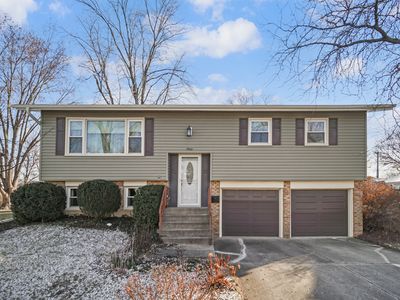 19021 Chestnut Ave, Country Club Hills, IL, 60478